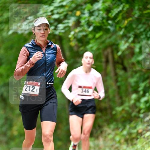 11.10.2026 - Bramfelder Halbmarathon 2026 Dr. Thomas Lammeyer http://msf.ph/oto/10828017 11.10.2026 11:04:50 Laufen 212, 346 meine-sportfotos.de