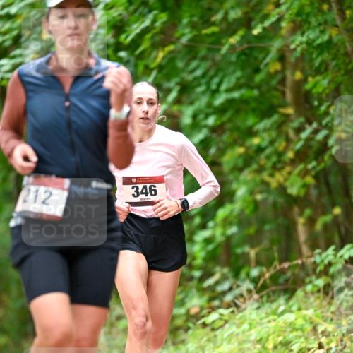 11.10.2026 - Bramfelder Halbmarathon 2026 Dr. Thomas Lammeyer http://msf.ph/oto/10828030 11.10.2026 11:04:51 Laufen 212, 346 meine-sportfotos.de