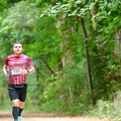11.10.2026 - Bramfelder Halbmarathon 2026 Dr. Thomas Lammeyer http://msf.ph/oto/10828040 11.10.2026 11:05:12 Laufen 101 meine-sportfotos.de