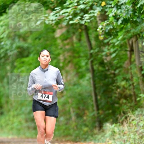 11.10.2026 - Bramfelder Halbmarathon 2026 Dr. Thomas Lammeyer http://msf.ph/oto/10828212 11.10.2026 11:06:09 Laufen 474 meine-sportfotos.de