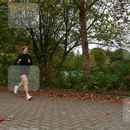 11.10.2026 - Bramfelder Halbmarathon 2026 J. Mangold http://msf.ph/oto/10828334 11.10.2026 10:52:20 Laufen 372, 460, 641 meine-sportfotos.de