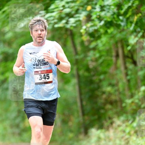 11.10.2026 - Bramfelder Halbmarathon 2026 Dr. Thomas Lammeyer http://msf.ph/oto/10828344 11.10.2026 11:06:35 Laufen 21, 40, 35, 345 meine-sportfotos.de