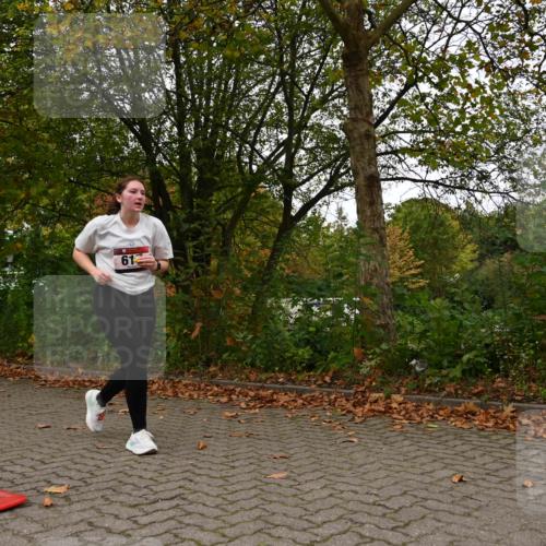 11.10.2026 - Bramfelder Halbmarathon 2026 J. Mangold http://msf.ph/oto/10828345 11.10.2026 10:52:24 Laufen 372, 460, 617 meine-sportfotos.de