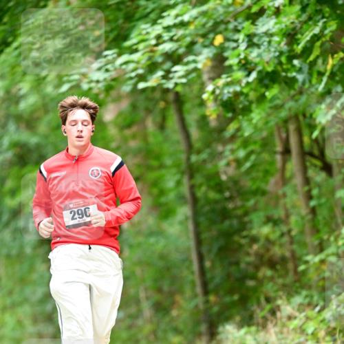 11.10.2026 - Bramfelder Halbmarathon 2026 Dr. Thomas Lammeyer http://msf.ph/oto/10828372 11.10.2026 11:06:40 Laufen 29 meine-sportfotos.de
