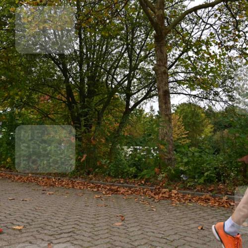 11.10.2026 - Bramfelder Halbmarathon 2026 J. Mangold http://msf.ph/oto/10828393 11.10.2026 10:52:59 Laufen 214, 263, 348, 551, 594, 702 meine-sportfotos.de