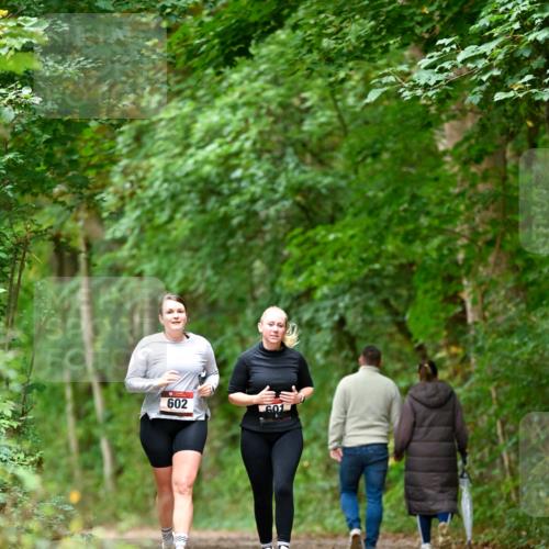 11.10.2026 - Bramfelder Halbmarathon 2026 Dr. Thomas Lammeyer http://msf.ph/oto/10828503 11.10.2026 11:07:25 Laufen 602, 601 meine-sportfotos.de
