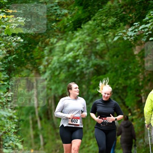 11.10.2026 - Bramfelder Halbmarathon 2026 Dr. Thomas Lammeyer http://msf.ph/oto/10828531 11.10.2026 11:07:27 Laufen 602 meine-sportfotos.de