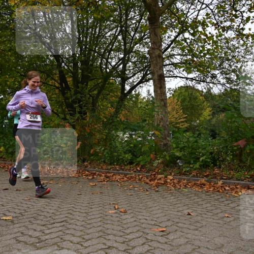11.10.2026 - Bramfelder Halbmarathon 2026 J. Mangold http://msf.ph/oto/10828539 11.10.2026 10:55:37 Laufen 266, 309 meine-sportfotos.de