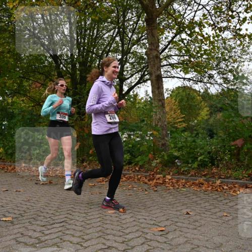 11.10.2026 - Bramfelder Halbmarathon 2026 J. Mangold http://msf.ph/oto/10828543 11.10.2026 10:55:38 Laufen 266, 309 meine-sportfotos.de