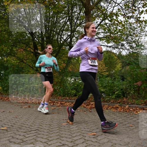 11.10.2026 - Bramfelder Halbmarathon 2026 J. Mangold http://msf.ph/oto/10828545 11.10.2026 10:55:38 Laufen 266, 309 meine-sportfotos.de