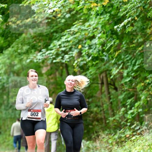 11.10.2026 - Bramfelder Halbmarathon 2026 Dr. Thomas Lammeyer http://msf.ph/oto/10828550 11.10.2026 11:07:30 Laufen 602 meine-sportfotos.de