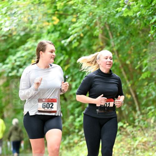 11.10.2026 - Bramfelder Halbmarathon 2026 Dr. Thomas Lammeyer http://msf.ph/oto/10828580 11.10.2026 11:07:32 Laufen 35, 602 meine-sportfotos.de