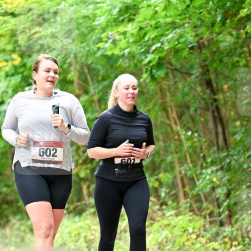 11.10.2026 - Bramfelder Halbmarathon 2026 Dr. Thomas Lammeyer http://msf.ph/oto/10828588 11.10.2026 11:07:33 Laufen 602, 602 meine-sportfotos.de