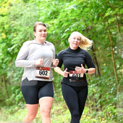 11.10.2026 - Bramfelder Halbmarathon 2026 Dr. Thomas Lammeyer http://msf.ph/oto/10828593 11.10.2026 11:07:33 Laufen 35, 602, 601 meine-sportfotos.de
