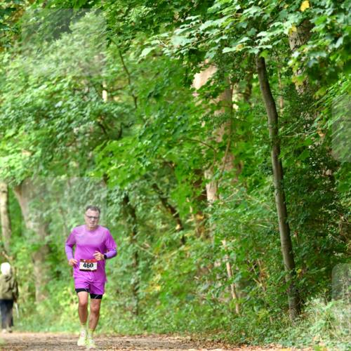11.10.2026 - Bramfelder Halbmarathon 2026 Dr. Thomas Lammeyer http://msf.ph/oto/10828646 11.10.2026 11:07:55 Laufen 460 meine-sportfotos.de