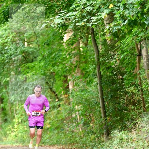 11.10.2026 - Bramfelder Halbmarathon 2026 Dr. Thomas Lammeyer http://msf.ph/oto/10828663 11.10.2026 11:07:56 Laufen 460 meine-sportfotos.de