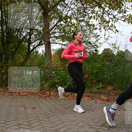 11.10.2026 - Bramfelder Halbmarathon 2026 J. Mangold http://msf.ph/oto/10828675 11.10.2026 10:57:05 Laufen 270, 323, 360, 553, 769 meine-sportfotos.de