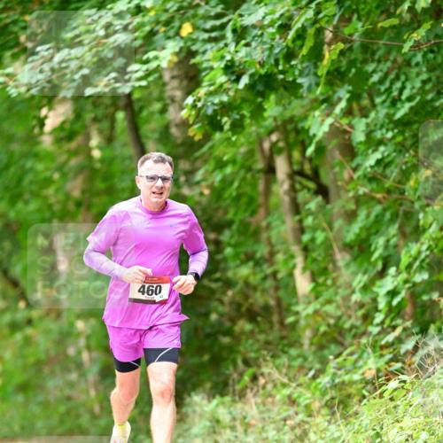 11.10.2026 - Bramfelder Halbmarathon 2026 Dr. Thomas Lammeyer http://msf.ph/oto/10828718 11.10.2026 11:07:59 Laufen 460 meine-sportfotos.de