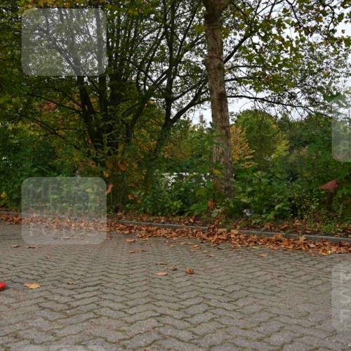 11.10.2026 - Bramfelder Halbmarathon 2026 J. Mangold http://msf.ph/oto/10828732 11.10.2026 10:58:14 Laufen 191, 455, 614 meine-sportfotos.de