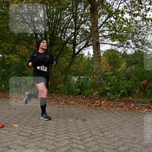 11.10.2026 - Bramfelder Halbmarathon 2026 J. Mangold http://msf.ph/oto/10828739 11.10.2026 10:58:15 Laufen 191, 455, 614 meine-sportfotos.de