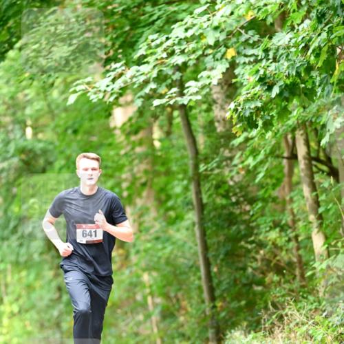 11.10.2026 - Bramfelder Halbmarathon 2026 Dr. Thomas Lammeyer http://msf.ph/oto/10828747 11.10.2026 11:08:05 Laufen 641 meine-sportfotos.de