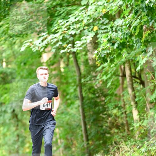 11.10.2026 - Bramfelder Halbmarathon 2026 Dr. Thomas Lammeyer http://msf.ph/oto/10828753 11.10.2026 11:08:05 Laufen 641 meine-sportfotos.de