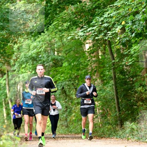 11.10.2026 - Bramfelder Halbmarathon 2026 Dr. Thomas Lammeyer http://msf.ph/oto/10828909 11.10.2026 11:08:34 Laufen 157, 260, 589, 551 meine-sportfotos.de