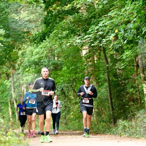 11.10.2026 - Bramfelder Halbmarathon 2026 Dr. Thomas Lammeyer http://msf.ph/oto/10828911 11.10.2026 11:08:34 Laufen 157, 260, 589, 551 meine-sportfotos.de