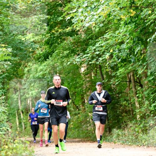11.10.2026 - Bramfelder Halbmarathon 2026 Dr. Thomas Lammeyer http://msf.ph/oto/10828928 11.10.2026 11:08:36 Laufen 157, 260, 589, 551 meine-sportfotos.de