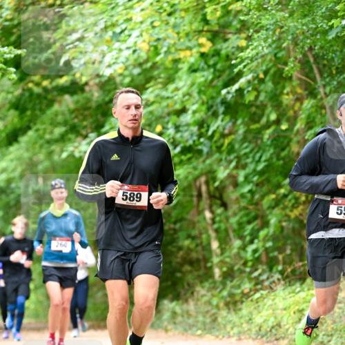 11.10.2026 - Bramfelder Halbmarathon 2026 Dr. Thomas Lammeyer http://msf.ph/oto/10828967 11.10.2026 11:08:39 Laufen 260, 589, 55 meine-sportfotos.de