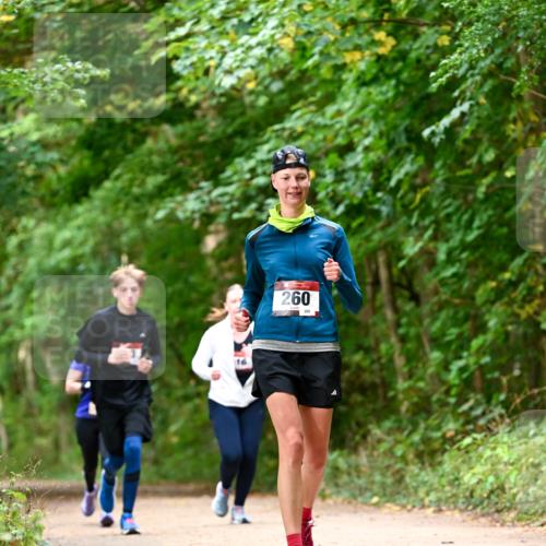 11.10.2026 - Bramfelder Halbmarathon 2026 Dr. Thomas Lammeyer http://msf.ph/oto/10828991 11.10.2026 11:08:41 Laufen 16, 260, 280 meine-sportfotos.de