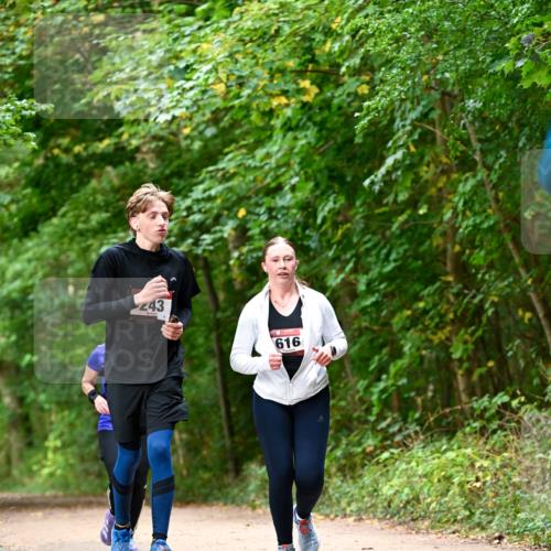 11.10.2026 - Bramfelder Halbmarathon 2026 Dr. Thomas Lammeyer http://msf.ph/oto/10829013 11.10.2026 11:08:44 Laufen 43, 616 meine-sportfotos.de