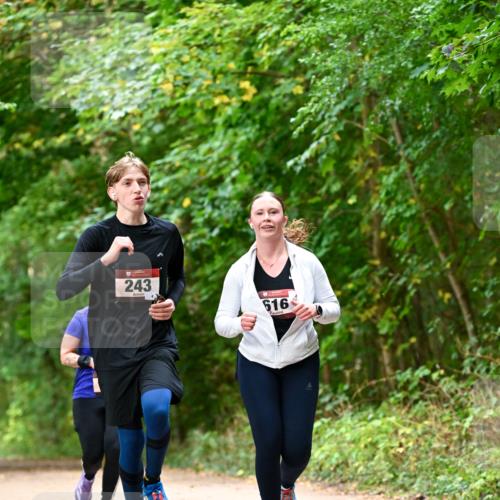 11.10.2026 - Bramfelder Halbmarathon 2026 Dr. Thomas Lammeyer http://msf.ph/oto/10829023 11.10.2026 11:08:44 Laufen 243, 616 meine-sportfotos.de