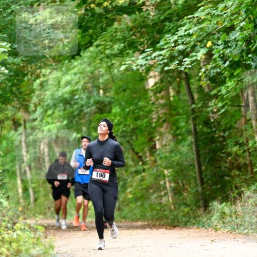 11.10.2026 - Bramfelder Halbmarathon 2026 Dr. Thomas Lammeyer http://msf.ph/oto/10829173 11.10.2026 11:09:04 Laufen 594, 190 meine-sportfotos.de