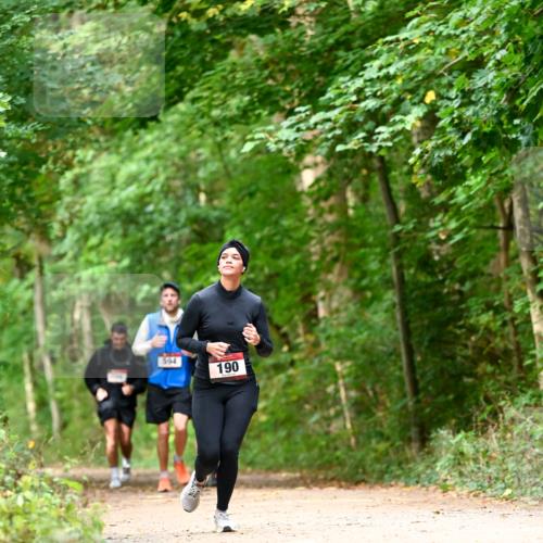 11.10.2026 - Bramfelder Halbmarathon 2026 Dr. Thomas Lammeyer http://msf.ph/oto/10829179 11.10.2026 11:09:05 Laufen 594, 190 meine-sportfotos.de