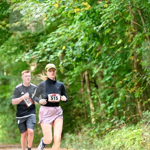 11.10.2026 - Bramfelder Halbmarathon 2026 Dr. Thomas Lammeyer http://msf.ph/oto/10829306 11.10.2026 11:09:37 Laufen 330, 515 meine-sportfotos.de