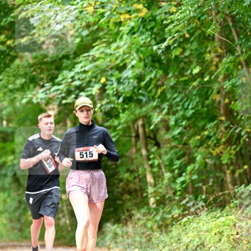 11.10.2026 - Bramfelder Halbmarathon 2026 Dr. Thomas Lammeyer http://msf.ph/oto/10829308 11.10.2026 11:09:37 Laufen 330, 515 meine-sportfotos.de