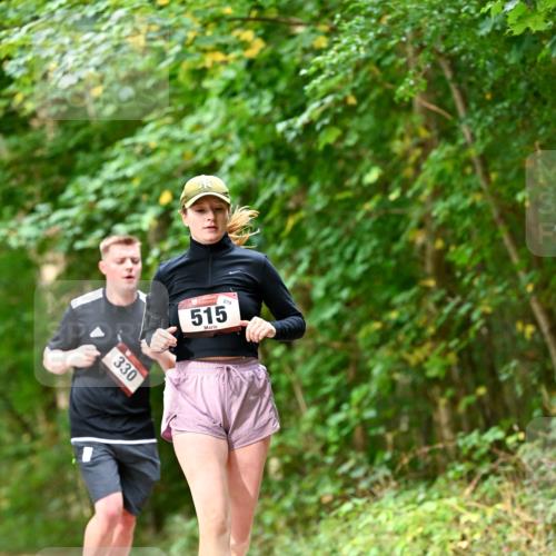 11.10.2026 - Bramfelder Halbmarathon 2026 Dr. Thomas Lammeyer http://msf.ph/oto/10829322 11.10.2026 11:09:38 Laufen 330, 515, 279 meine-sportfotos.de