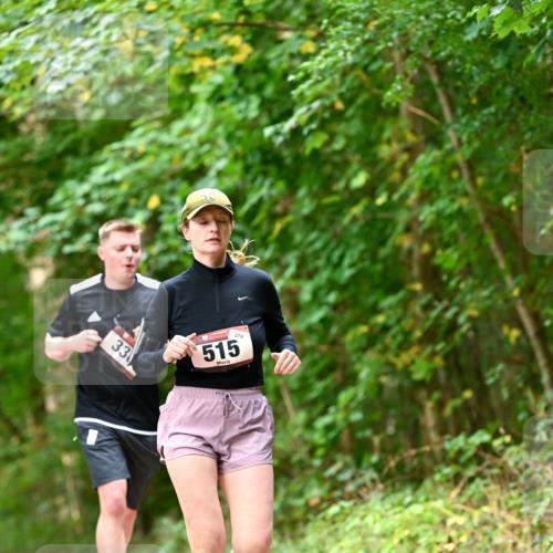 11.10.2026 - Bramfelder Halbmarathon 2026 Dr. Thomas Lammeyer http://msf.ph/oto/10829323 11.10.2026 11:09:38 Laufen 33, 279, 515 meine-sportfotos.de