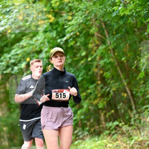 11.10.2026 - Bramfelder Halbmarathon 2026 Dr. Thomas Lammeyer http://msf.ph/oto/10829329 11.10.2026 11:09:39 Laufen 279, 515 meine-sportfotos.de