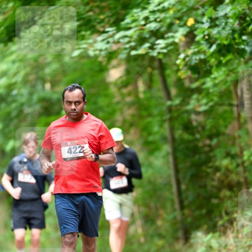 11.10.2026 - Bramfelder Halbmarathon 2026 Dr. Thomas Lammeyer http://msf.ph/oto/10829472 11.10.2026 11:10:35 Laufen 422 meine-sportfotos.de
