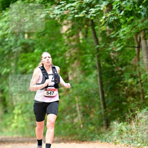 11.10.2026 - Bramfelder Halbmarathon 2026 Dr. Thomas Lammeyer http://msf.ph/oto/10829547 11.10.2026 11:10:57 Laufen 547 meine-sportfotos.de