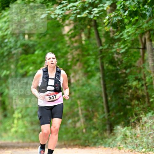 11.10.2026 - Bramfelder Halbmarathon 2026 Dr. Thomas Lammeyer http://msf.ph/oto/10829548 11.10.2026 11:10:57 Laufen 547 meine-sportfotos.de