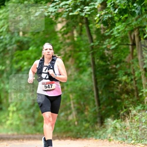 11.10.2026 - Bramfelder Halbmarathon 2026 Dr. Thomas Lammeyer http://msf.ph/oto/10829552 11.10.2026 11:10:58 Laufen 547 meine-sportfotos.de