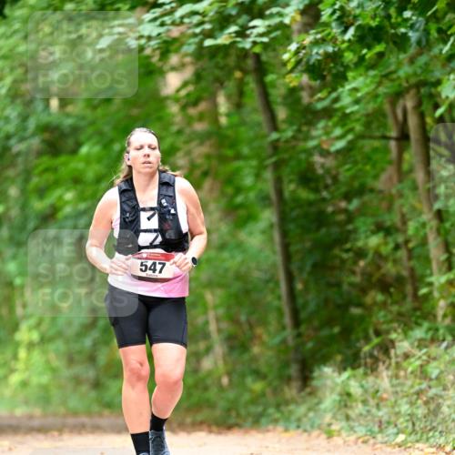 11.10.2026 - Bramfelder Halbmarathon 2026 Dr. Thomas Lammeyer http://msf.ph/oto/10829554 11.10.2026 11:10:58 Laufen 547 meine-sportfotos.de