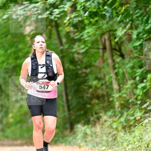 11.10.2026 - Bramfelder Halbmarathon 2026 Dr. Thomas Lammeyer http://msf.ph/oto/10829566 11.10.2026 11:10:59 Laufen 547 meine-sportfotos.de
