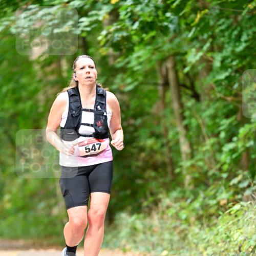 11.10.2026 - Bramfelder Halbmarathon 2026 Dr. Thomas Lammeyer http://msf.ph/oto/10829571 11.10.2026 11:10:59 Laufen 547 meine-sportfotos.de