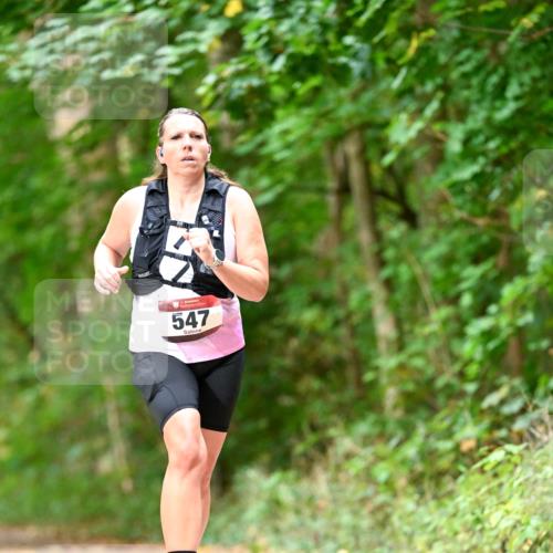 11.10.2026 - Bramfelder Halbmarathon 2026 Dr. Thomas Lammeyer http://msf.ph/oto/10829573 11.10.2026 11:10:59 Laufen 547 meine-sportfotos.de