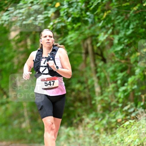 11.10.2026 - Bramfelder Halbmarathon 2026 Dr. Thomas Lammeyer http://msf.ph/oto/10829575 11.10.2026 11:10:59 Laufen 547 meine-sportfotos.de
