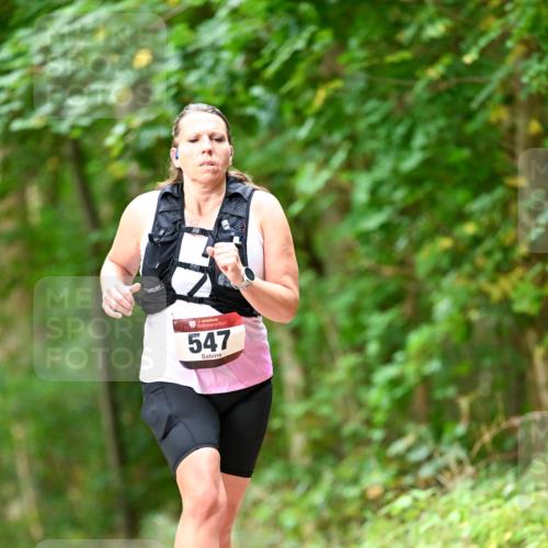 11.10.2026 - Bramfelder Halbmarathon 2026 Dr. Thomas Lammeyer http://msf.ph/oto/10829585 11.10.2026 11:11:00 Laufen 547 meine-sportfotos.de